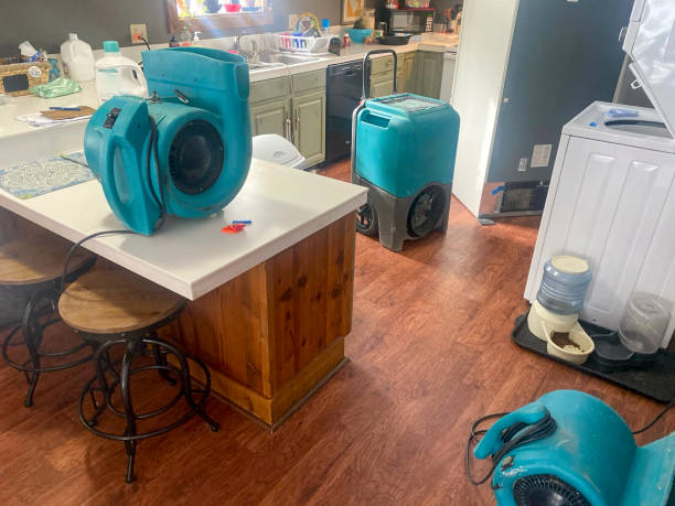 Best Ceiling water damage repair  in Hughestown, PA