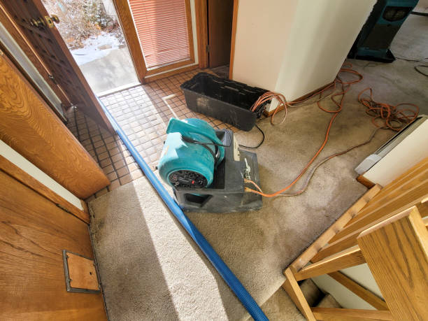 Best Water damage cleanup near me  in Hughestown, PA