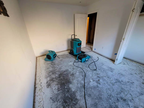 Best Basement water damage restoration  in Hughestown, PA