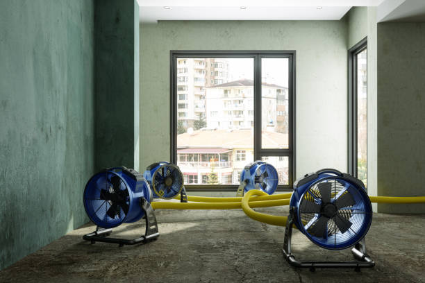 Water damage restoration insurance claims in Hughestown, PA